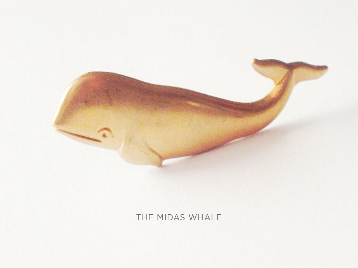 midas whale